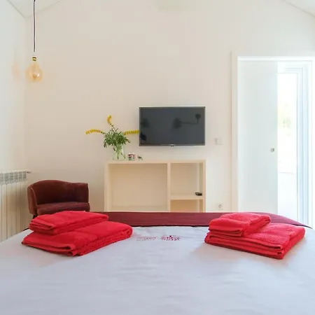 Encosta Do Sobreiro - Serra Da Estrela *