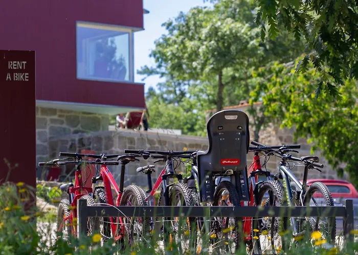 Encosta Do Sobreiro - Serra Da Estrela * Fornos de Algodres